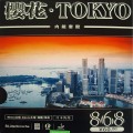 BLütenkirsche 868 Tokyo